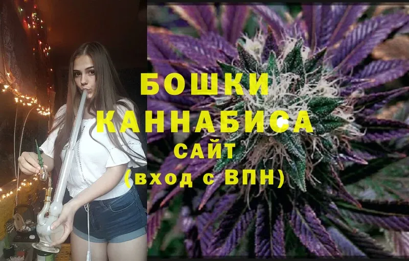 Бошки Шишки Amnesia  Ардатов 